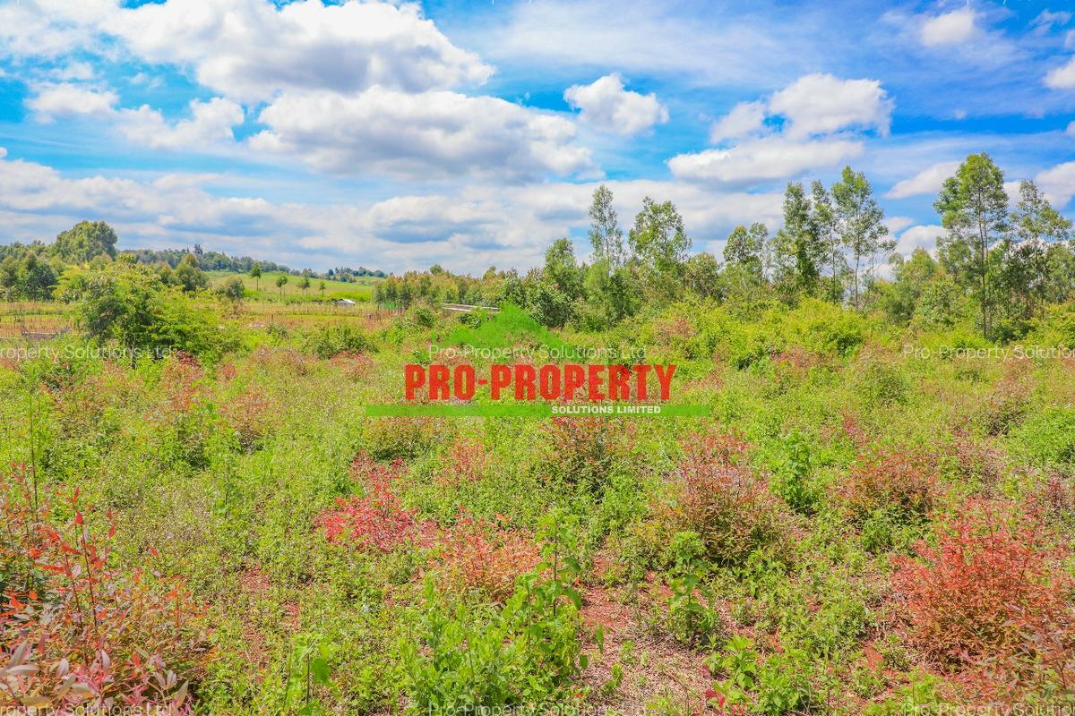 0.05 ha Residential Land at Ondiri - 8
