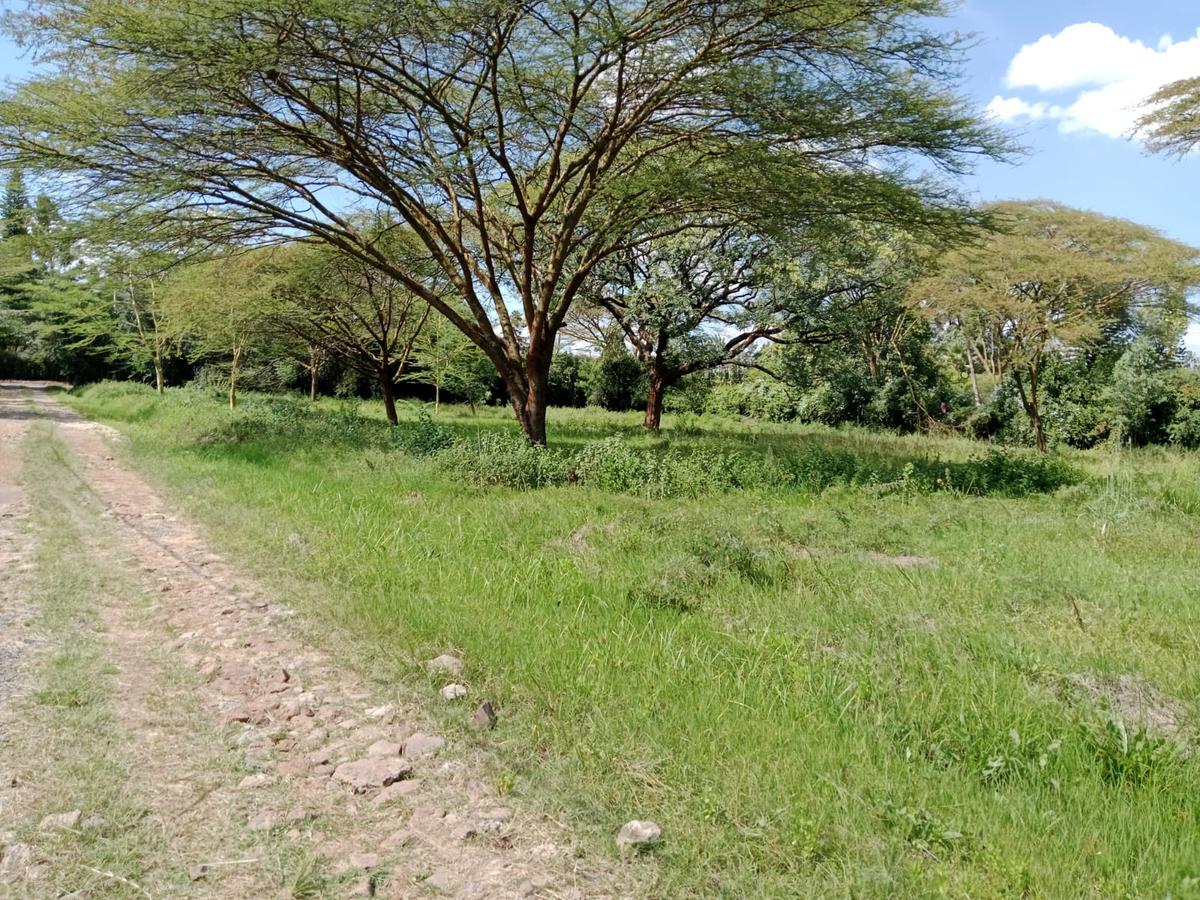 Land at Roysambu - 3