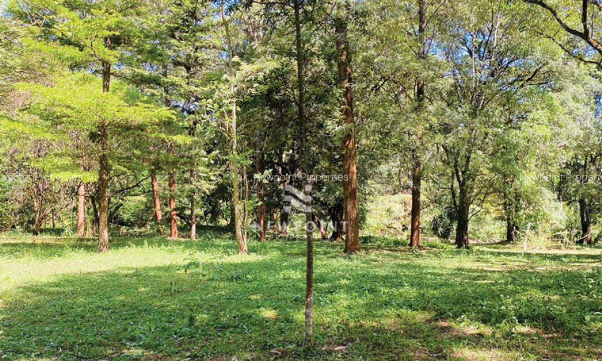 10 ac Land in Karen - 2