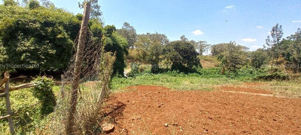 0.5 ac Residential Land at Muthithi - 10