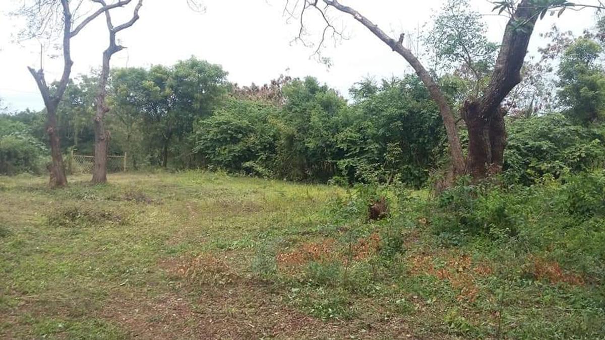 Residential Land in Mtwapa - 6