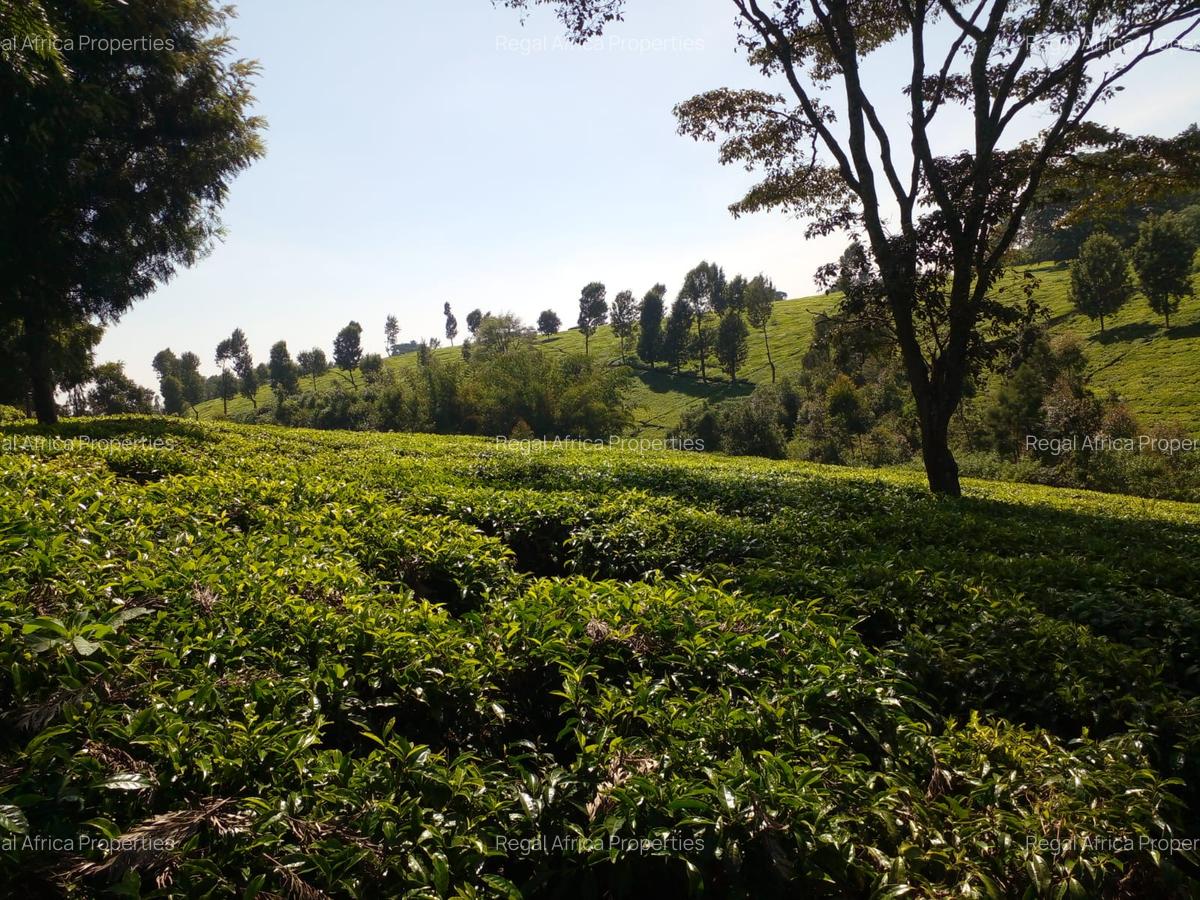 5 ac Land at Tigoni - 6