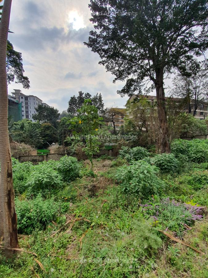 0.9 ac Land at Rhapta Road - 3