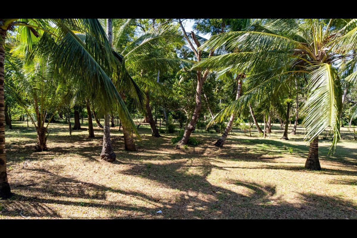 Residential Land in Kikambala - 5