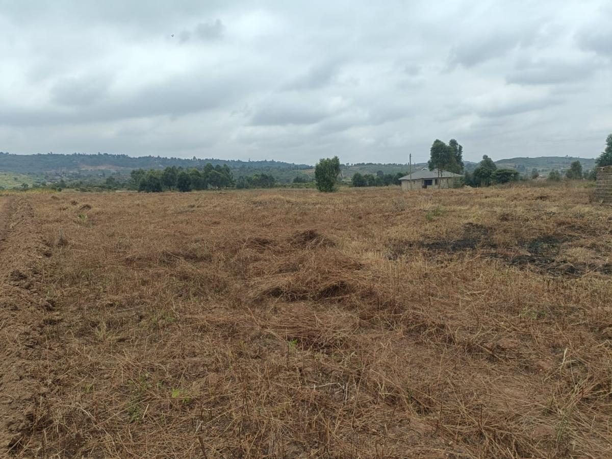 0.05 ha Land at Kikuyu Kamangu - 2