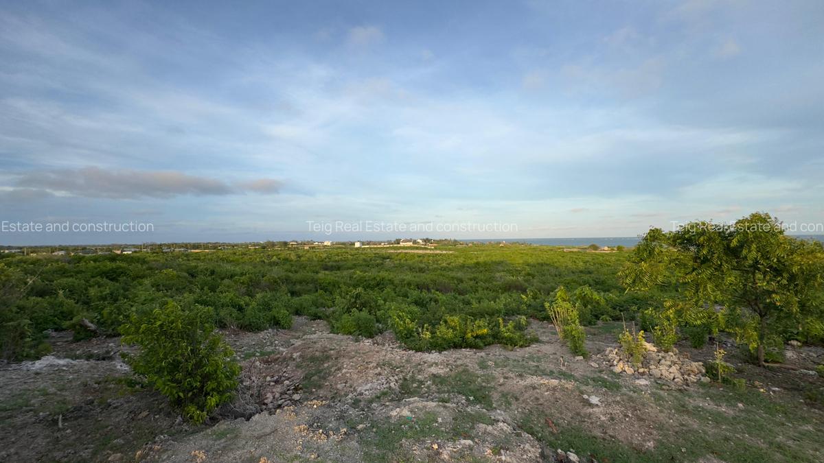 0.045 ha Land at Mayungu - 9