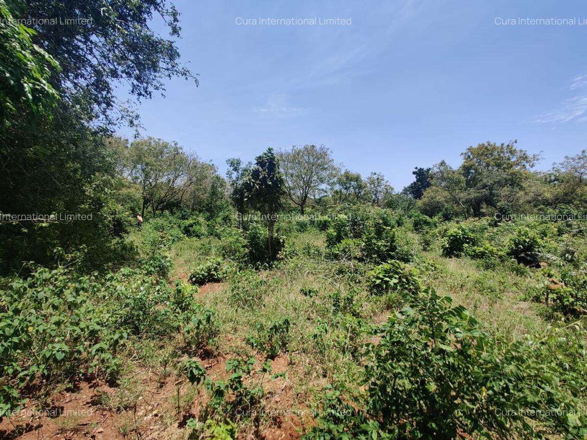 0.25 ac Land in Diani - 5
