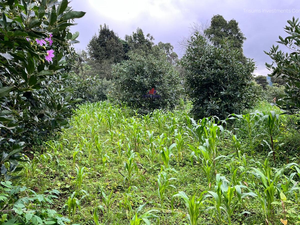 2.4 ac Land at Tigoni - 9