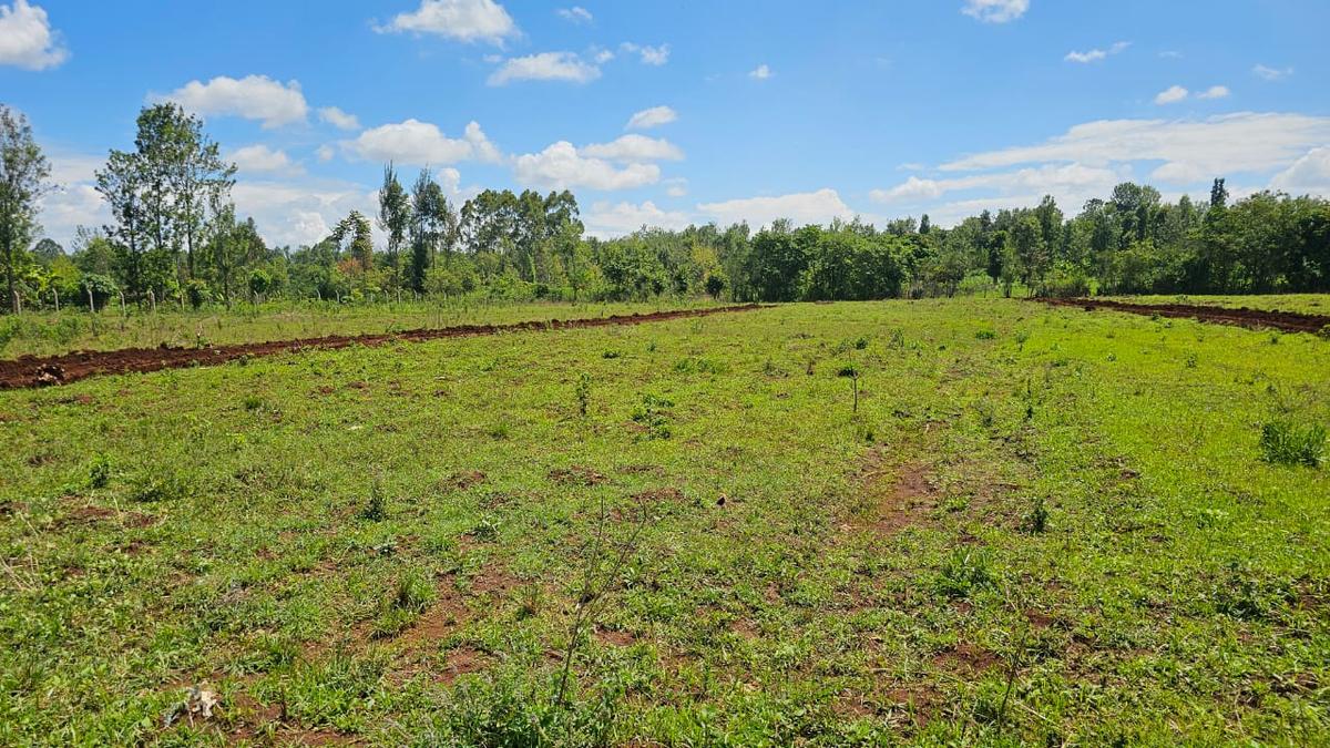 Residential Land in Thika - 2