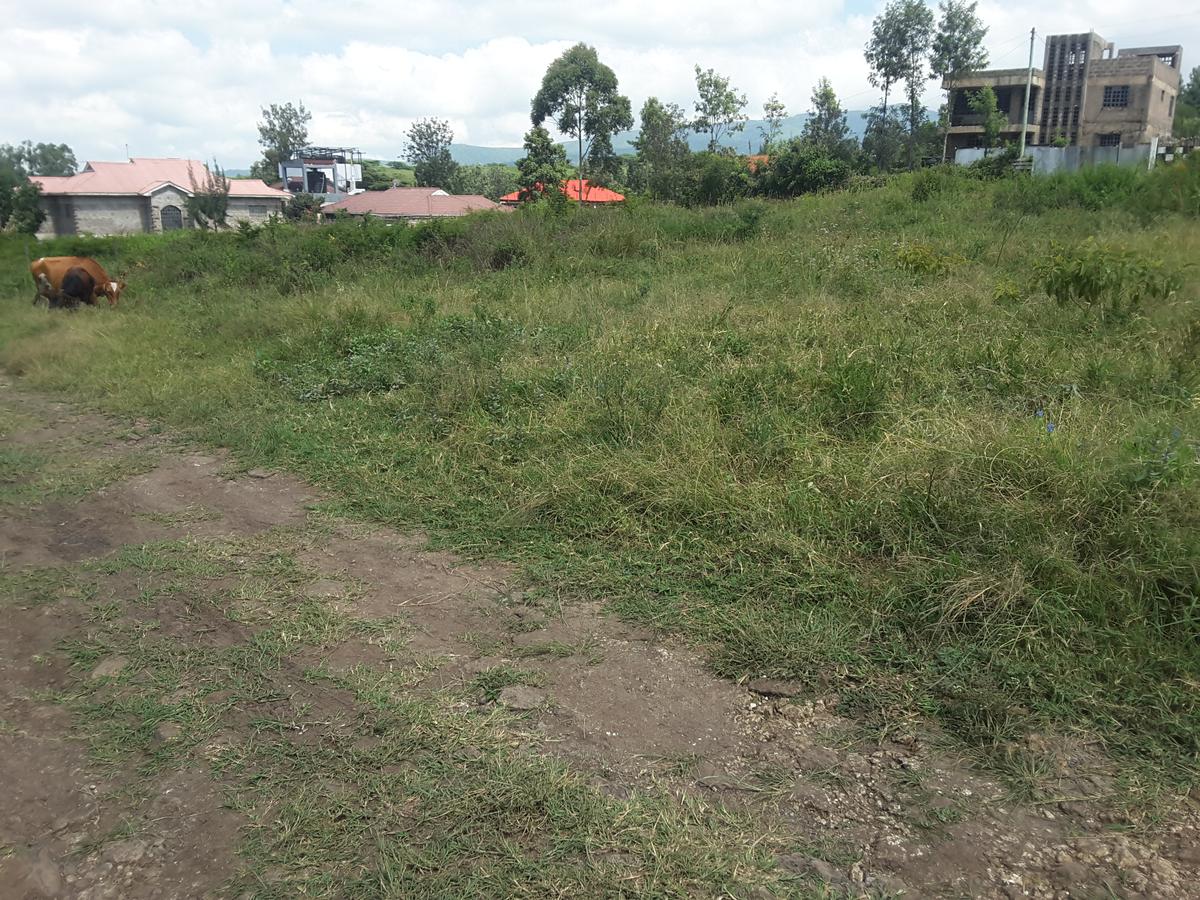 0.125 ac Residential Land in Ongata Rongai - 18