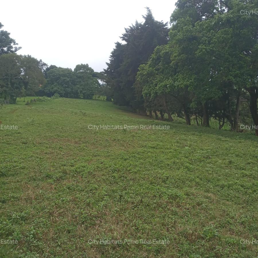 0.5 ac Residential Land in Redhill - 1