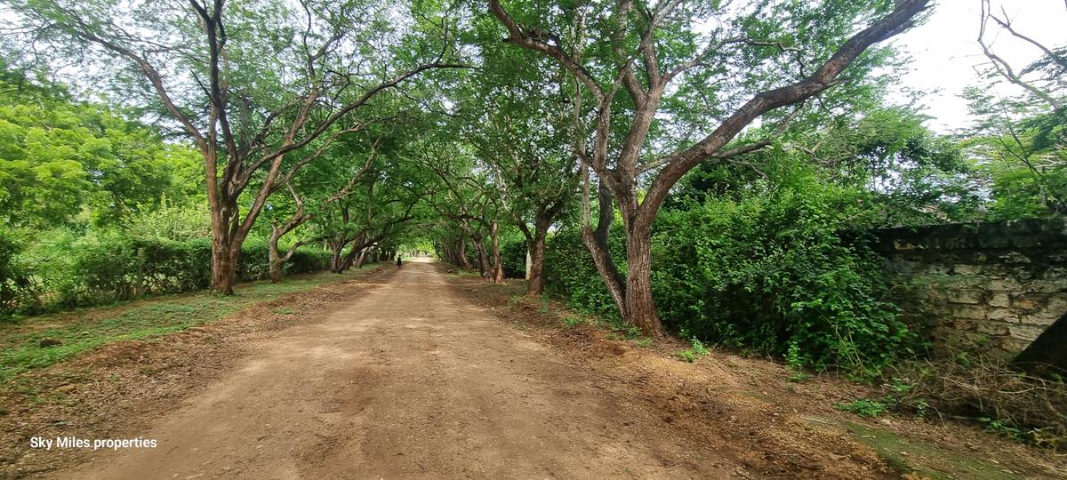 6 ac Land at Kilifi - 6