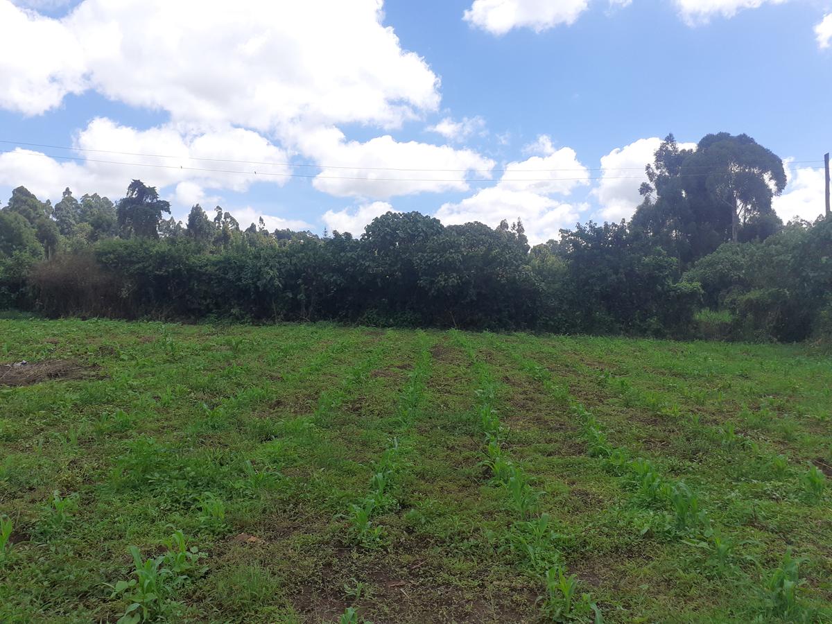 0.5 ac Land in Kikuyu Town - 7