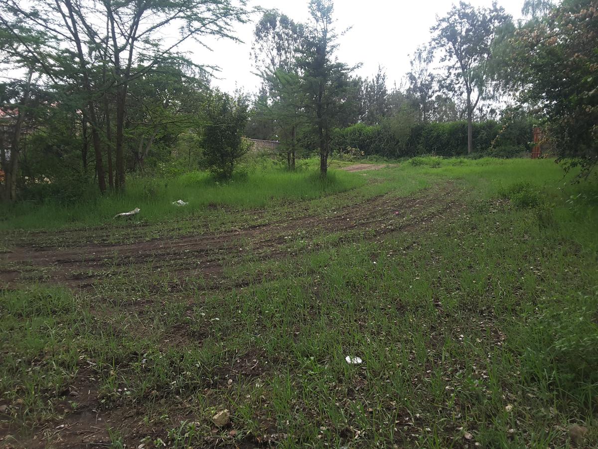 0.25 m² Land in Ongata Rongai - 8