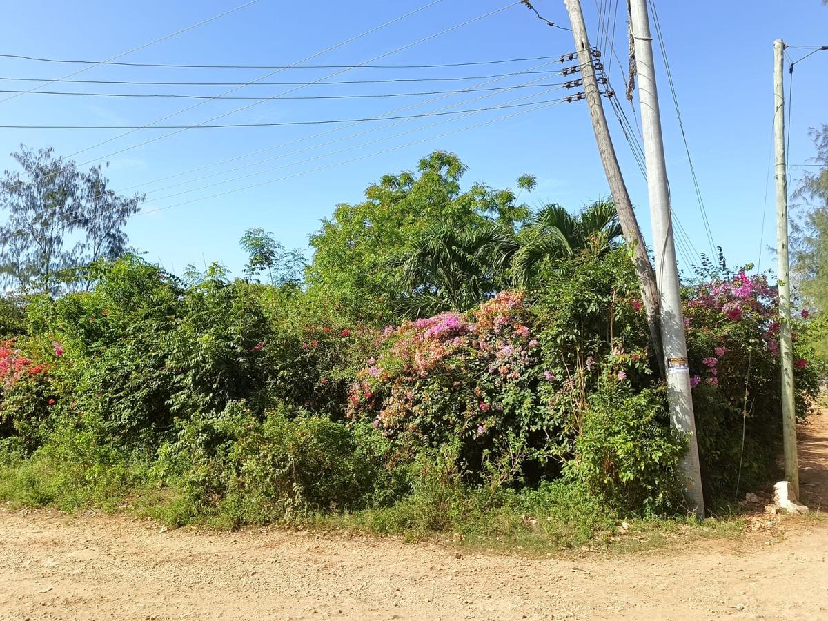 Residential Land at Diani - 5