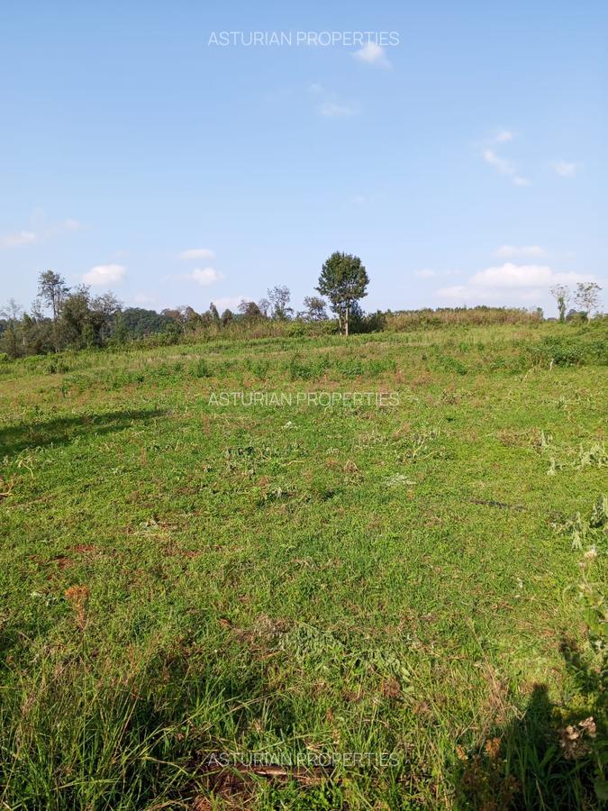36 ac Land in Kikuyu Town - 1
