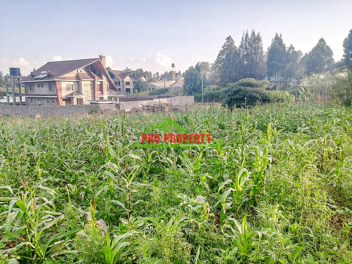 0.2 ha Residential Land at Ondiri - 10