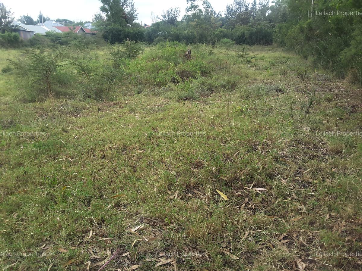 1 ac Residential Land in Ongata Rongai - 11