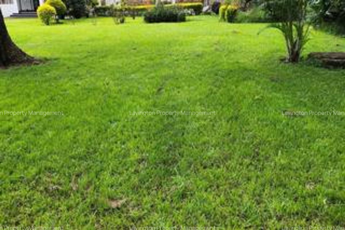 0.75 ac Land at Kunde Rd - 2