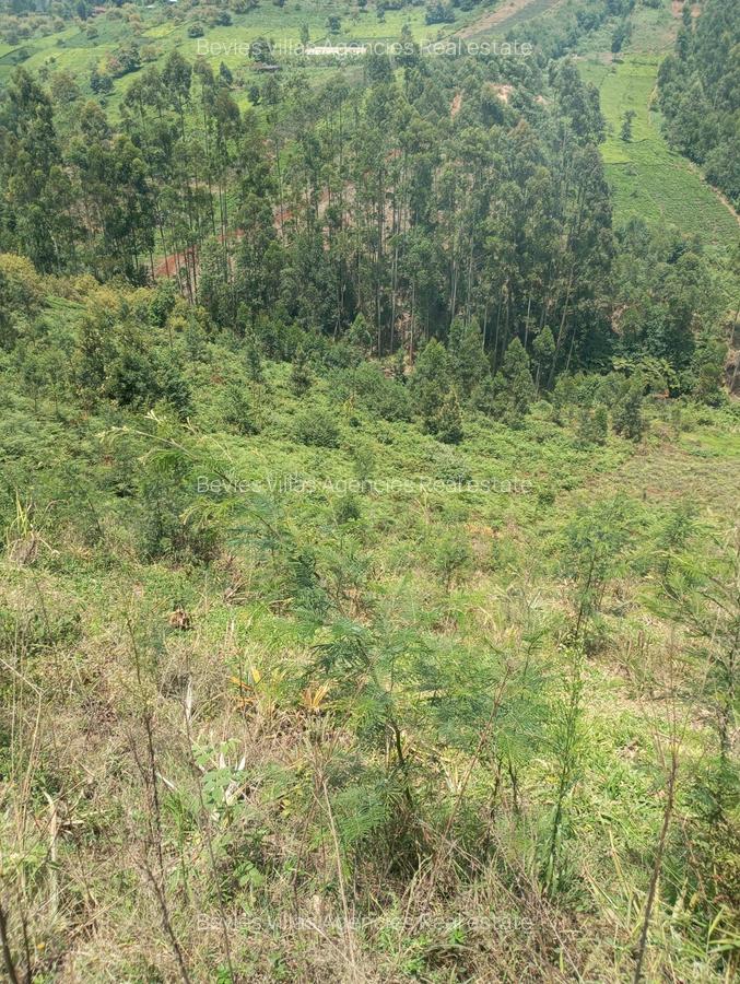 Residential Land at Runda - 3