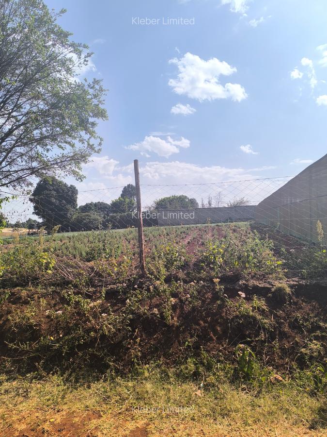 Land at Muhuri Road - 10