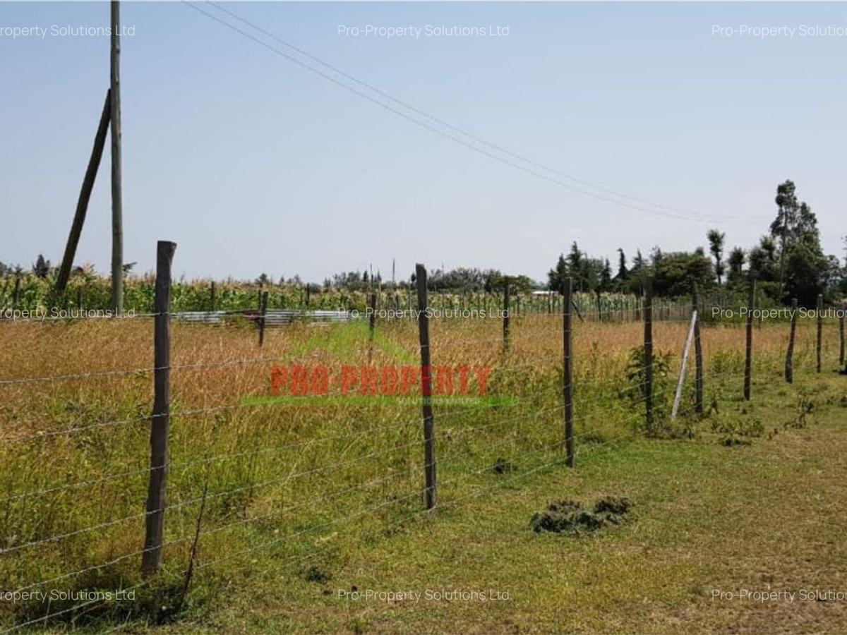 500 m² Land in Nanyuki - 11