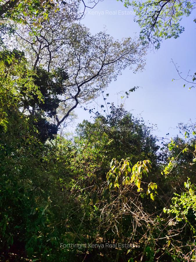 2.3 ac Land at Giraffe Centre - 6