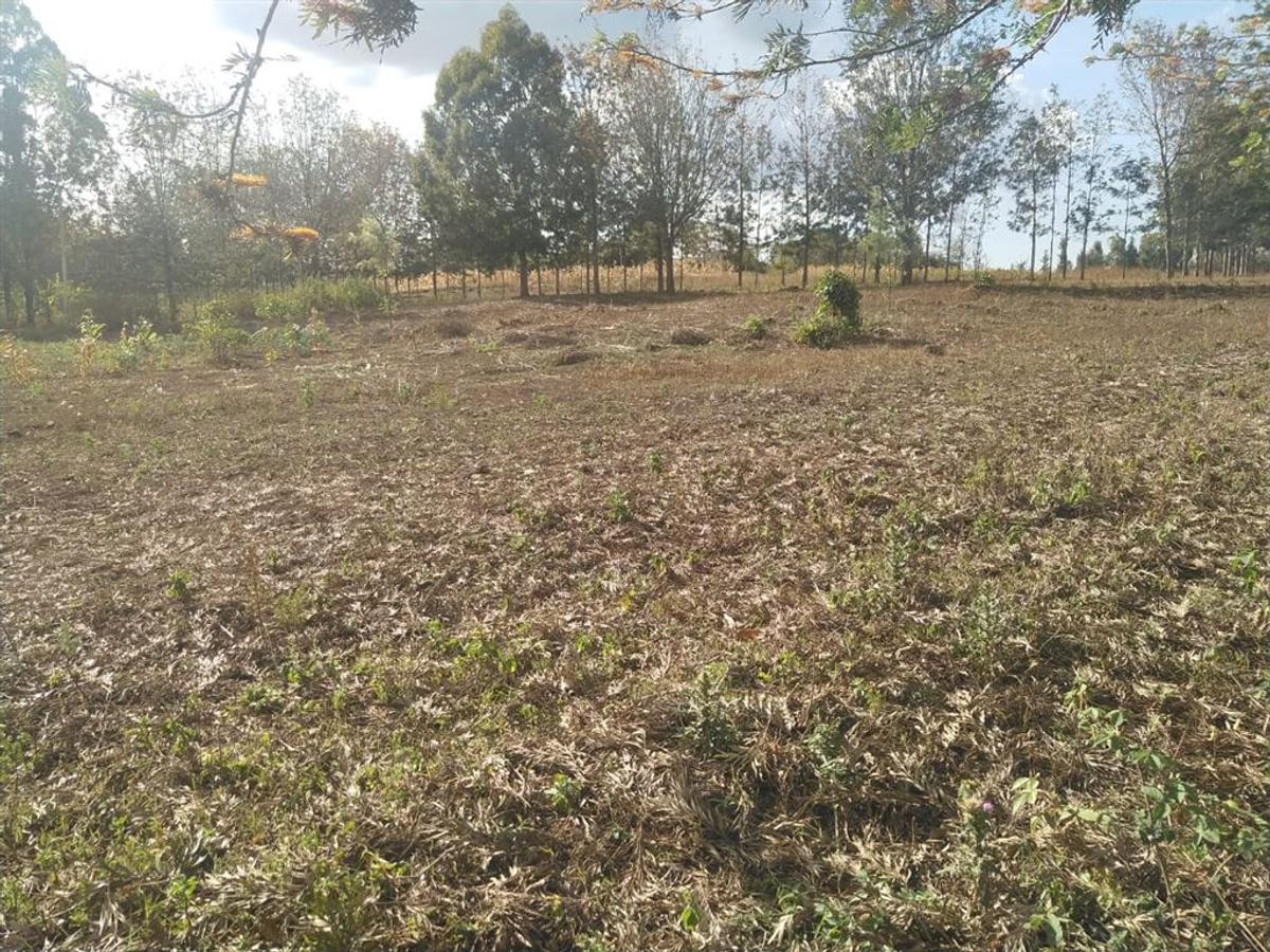 500 m² Residential Land in Ngong - 4