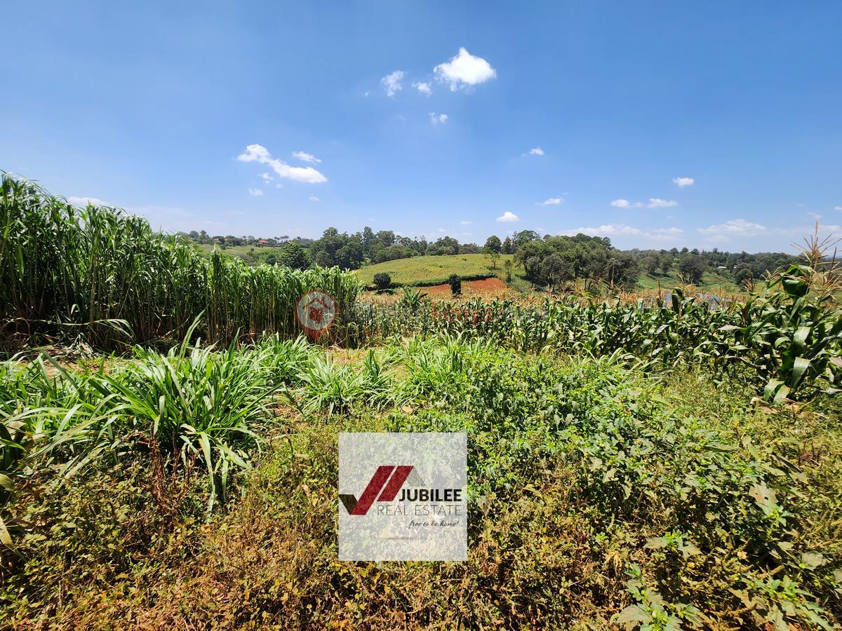 25 ac Land in Kitisuru - 11