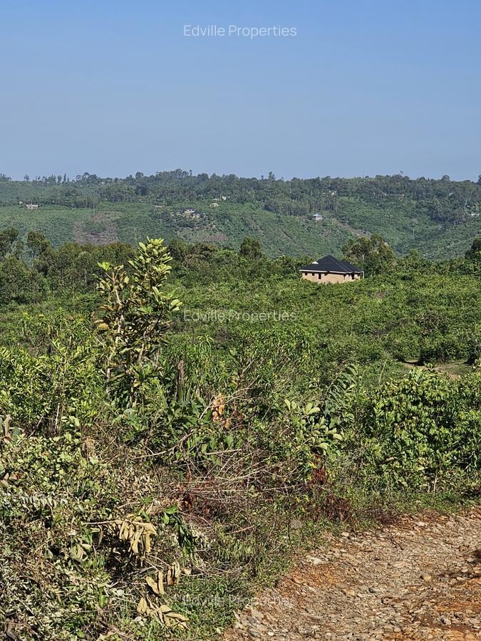 Residential Land at Riat - 6