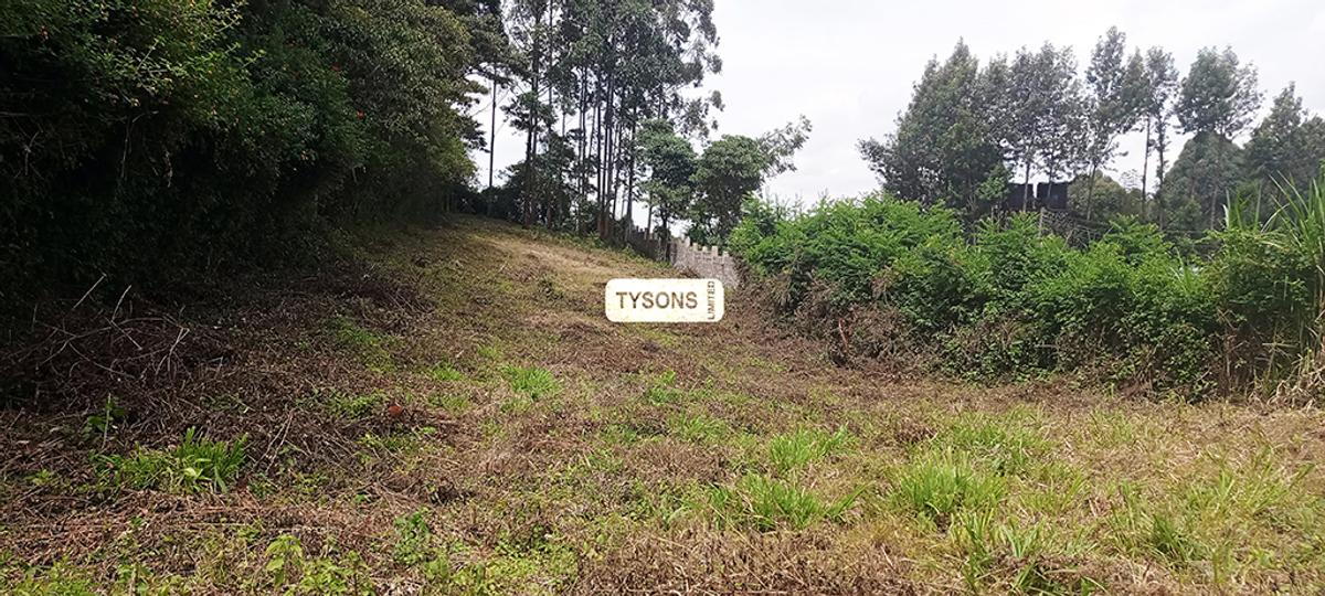 0.156 ac Land in Kikuyu Town - 1