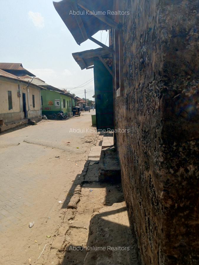 10 Bed House with Borehole at Mlaleo - 1