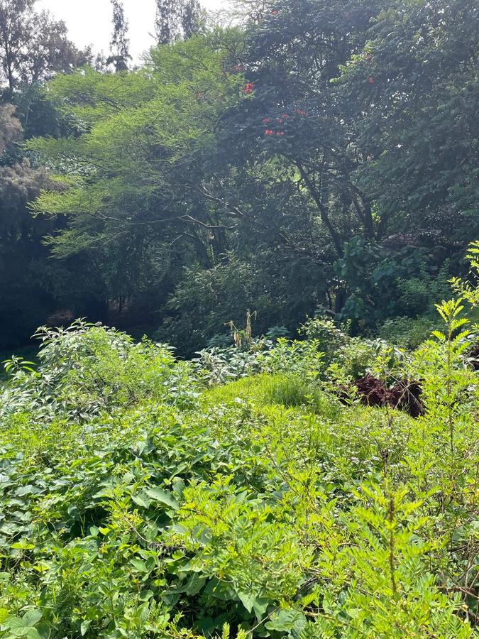 0.725 ac Residential Land in General Mathenge - 8