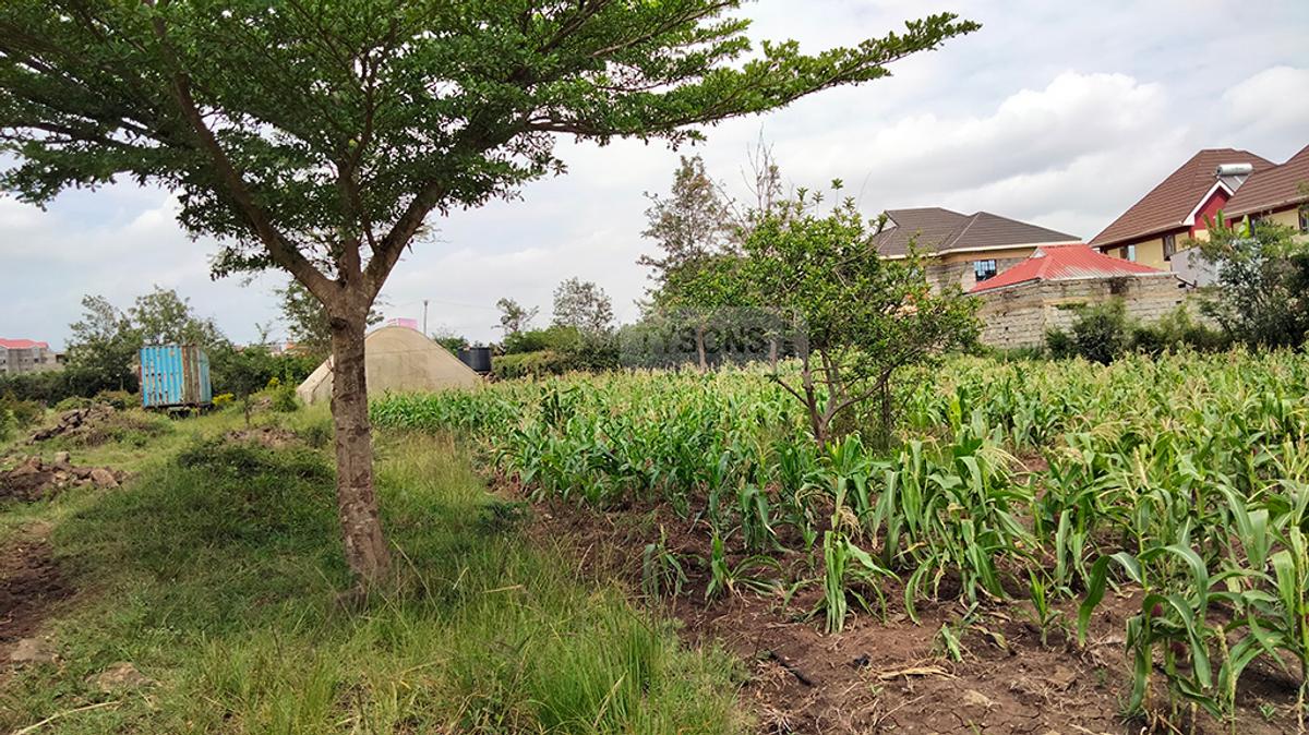 1 ac Land in Ruiru - 4