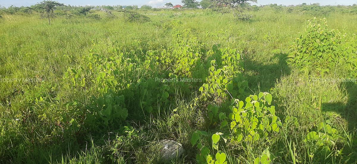 Residential Land at Leshaoo - 10