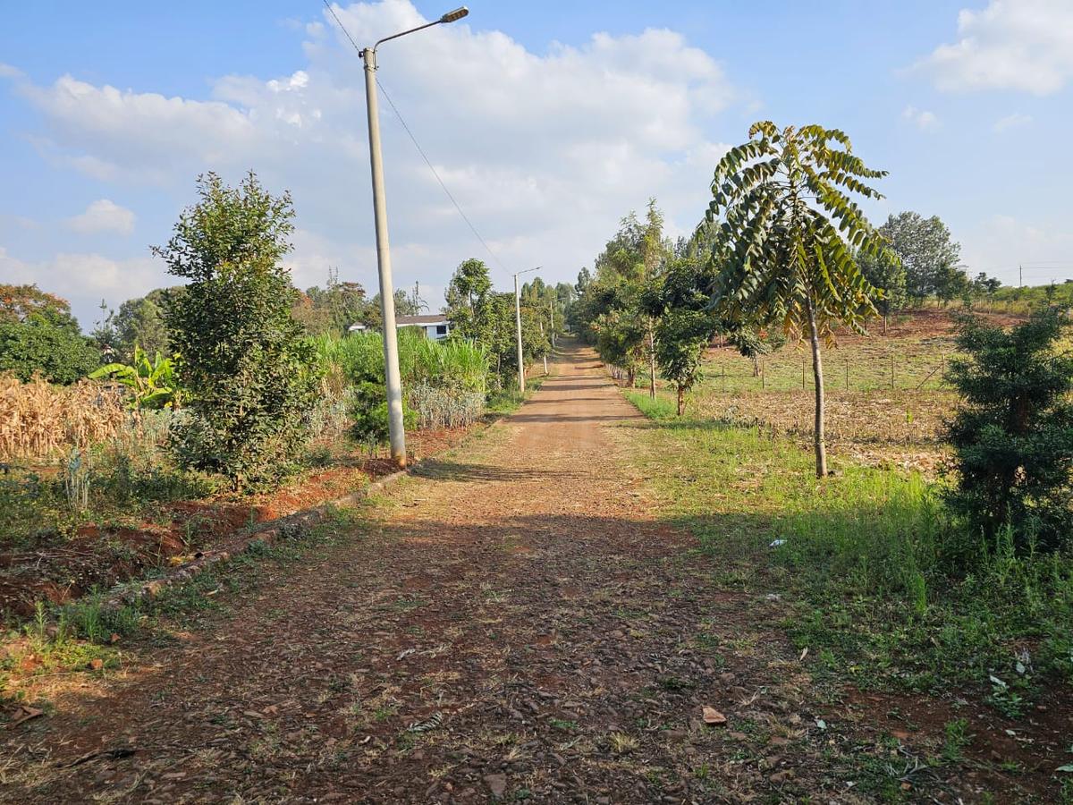 0.5 ac Land in Runda - 1