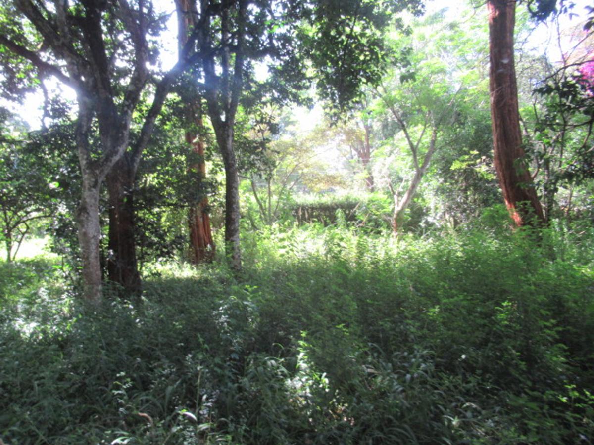 Residential Land at Mwitu Estate - 4