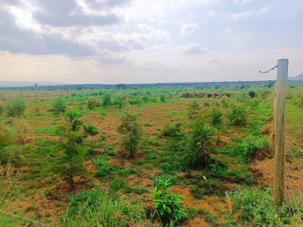 500 m² Residential Land at Ndiuni - 3