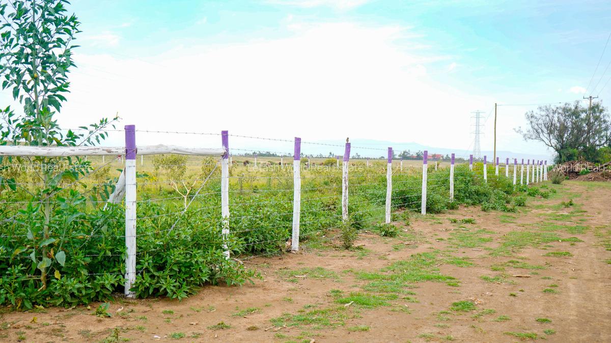 Residential Land in Naivasha - 5