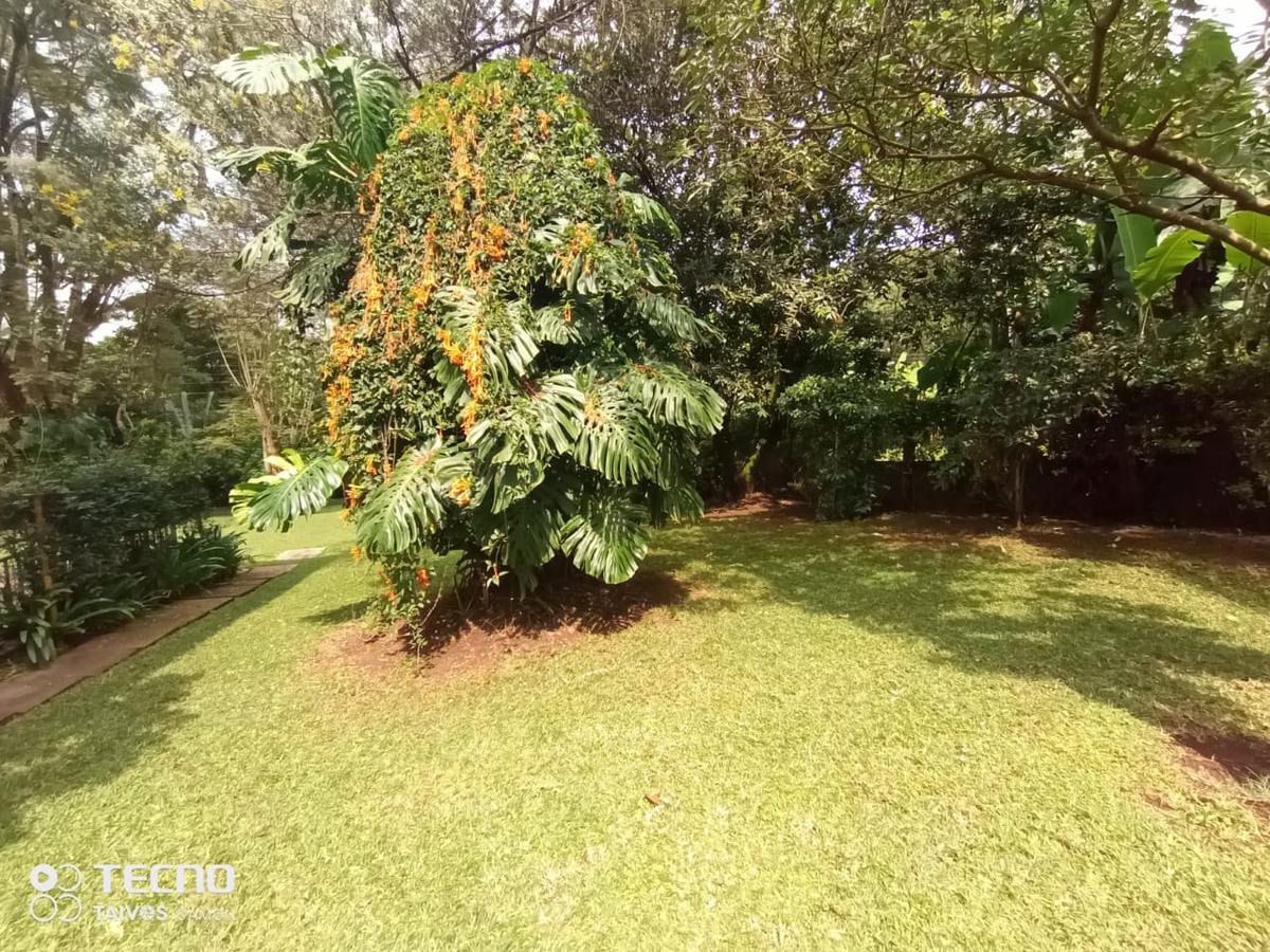 5 Bed Villa with En Suite in Rosslyn - 12