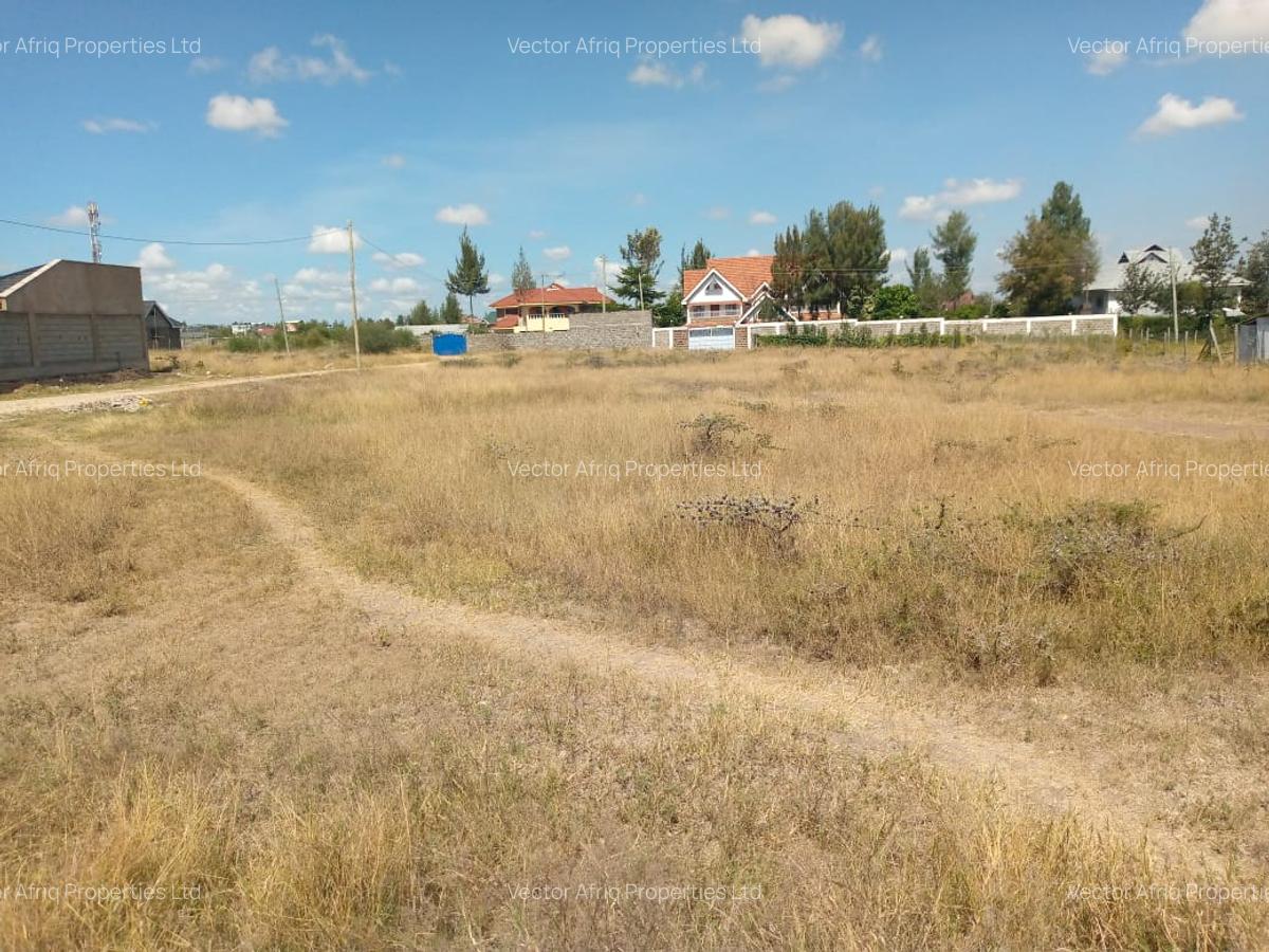 Commercial Land at Chuna - 4