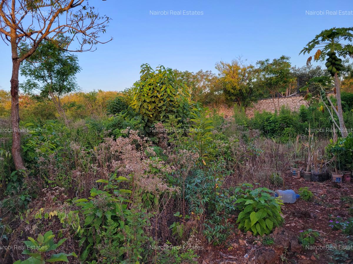 Land in Diani - 4