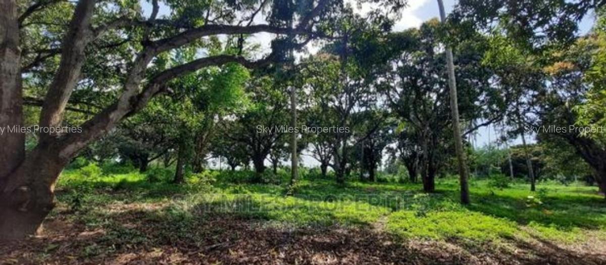 46 ac Land at Greenwood Mtwapa - 4