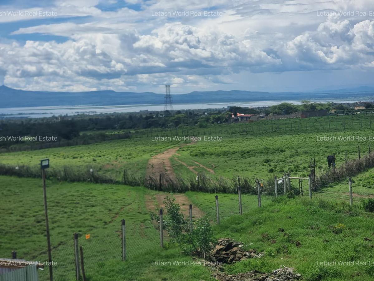 3 Bed House with En Suite in Naivasha - 3