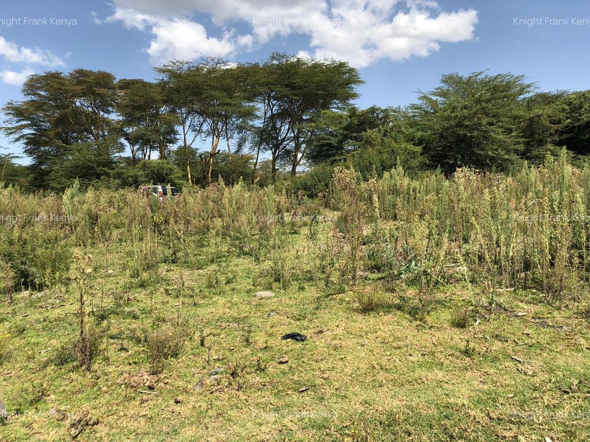 139 ac Land in Naivasha - 1