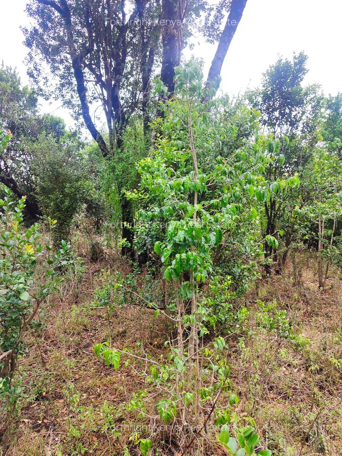 Residential Land at Hardy - 14