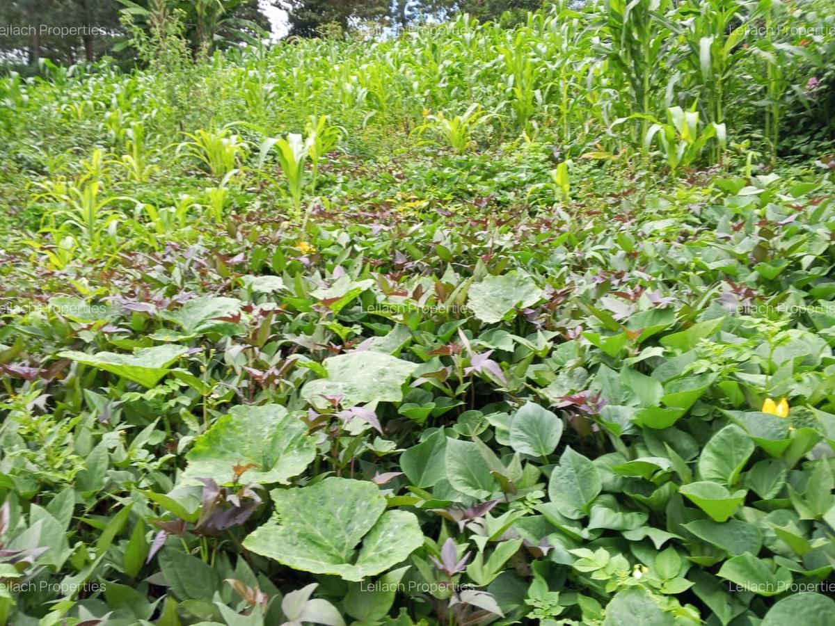 0.25 ac Residential Land in Ngong - 3