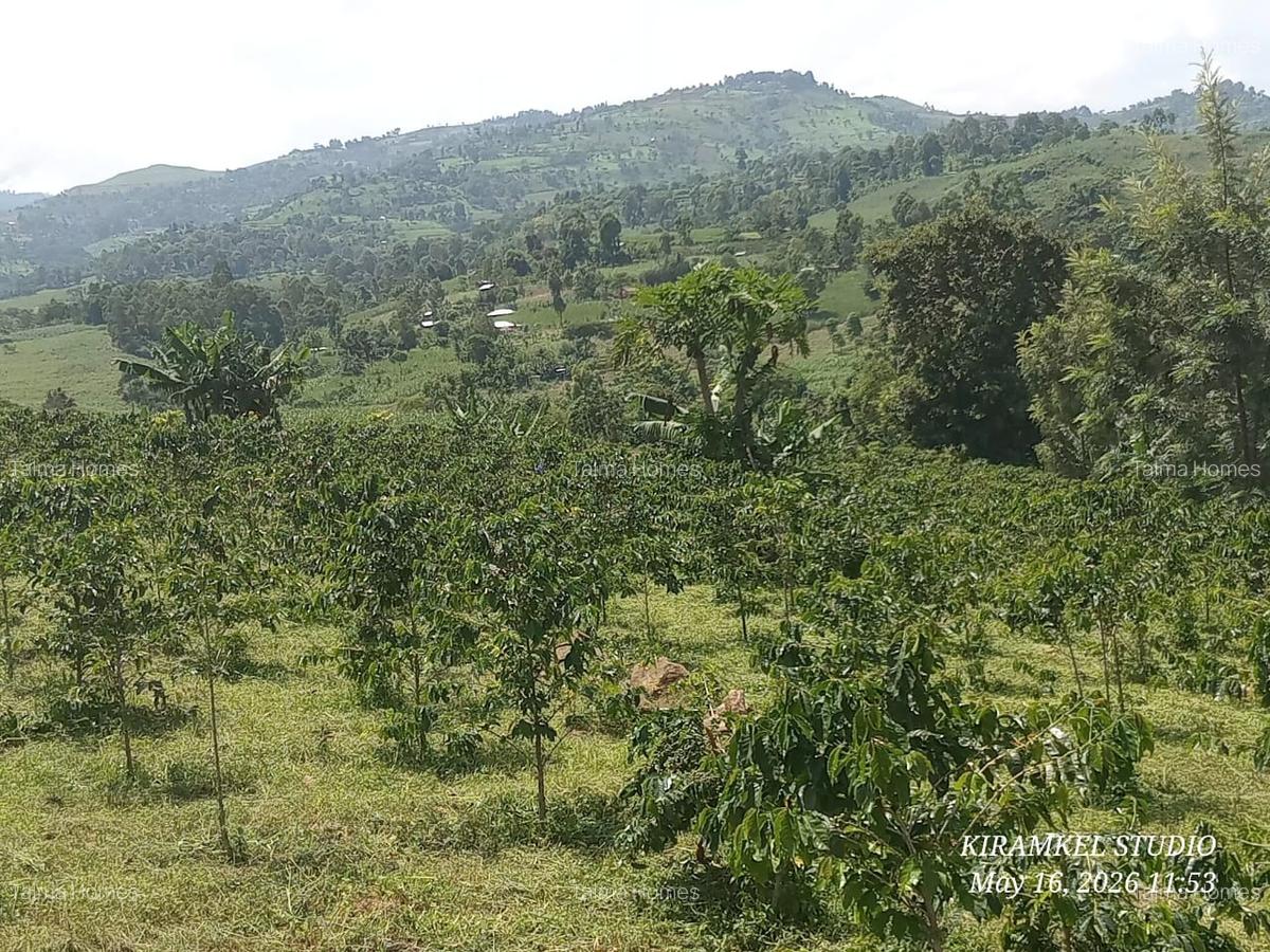6.5 ac Land at Nandi Hills - 5