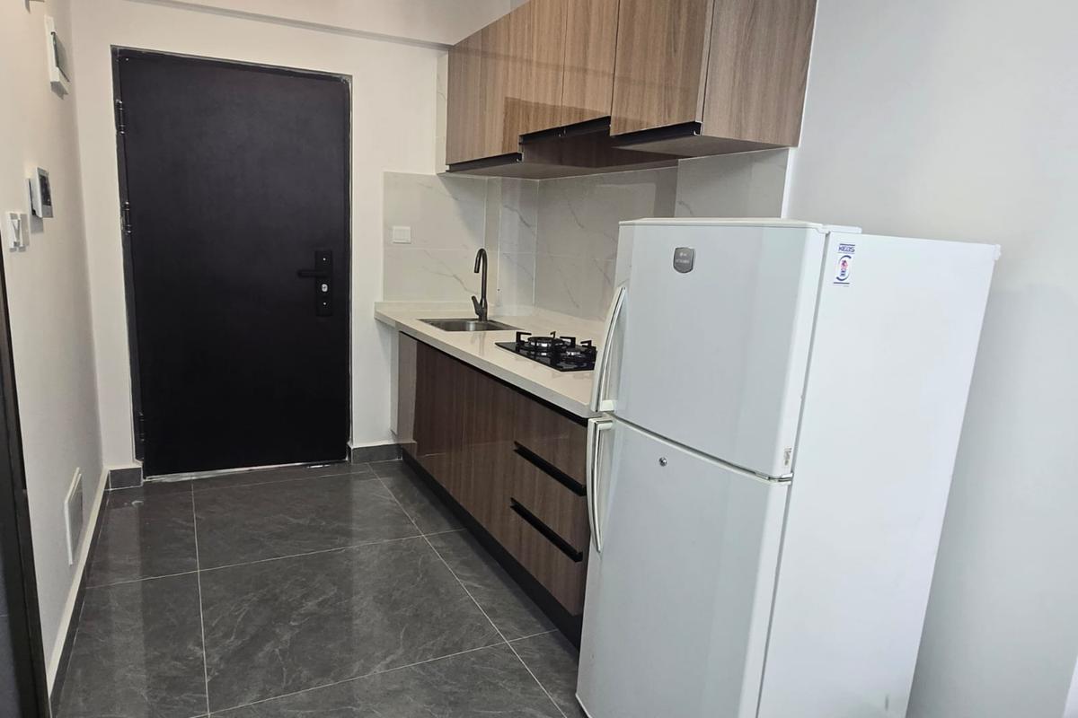 Furnished 2 Bed Apartment with Gym at Riverside Drive - 3