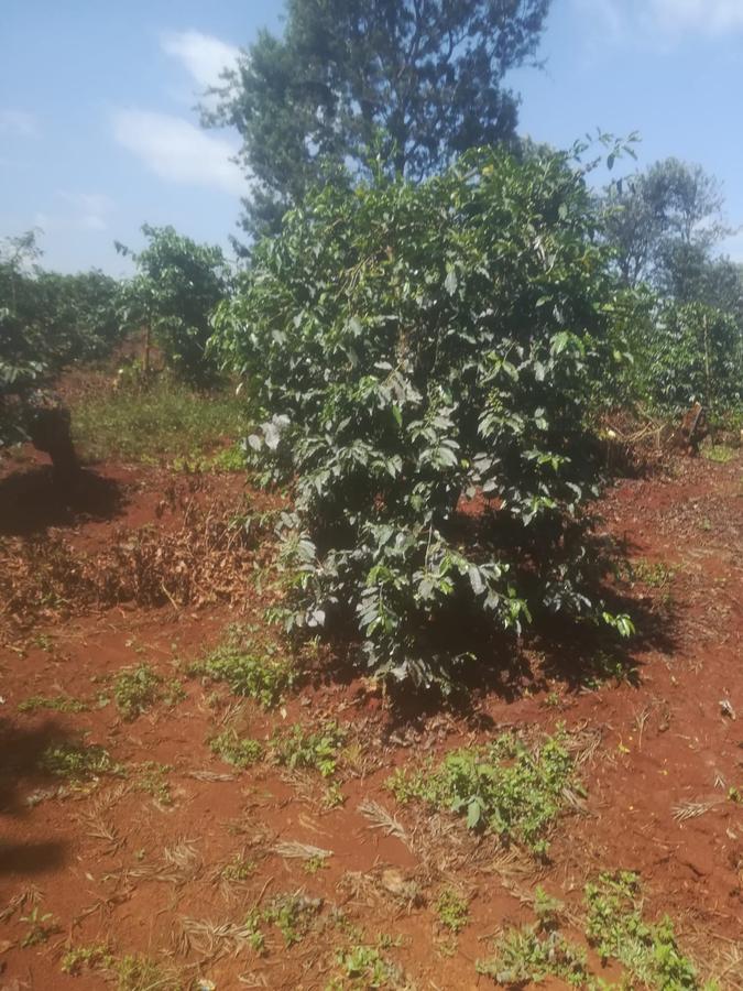 403 ac Land at Near Tatu City Estate - 4